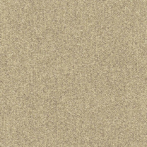 Teatro Linen by Kasmir Fabric
