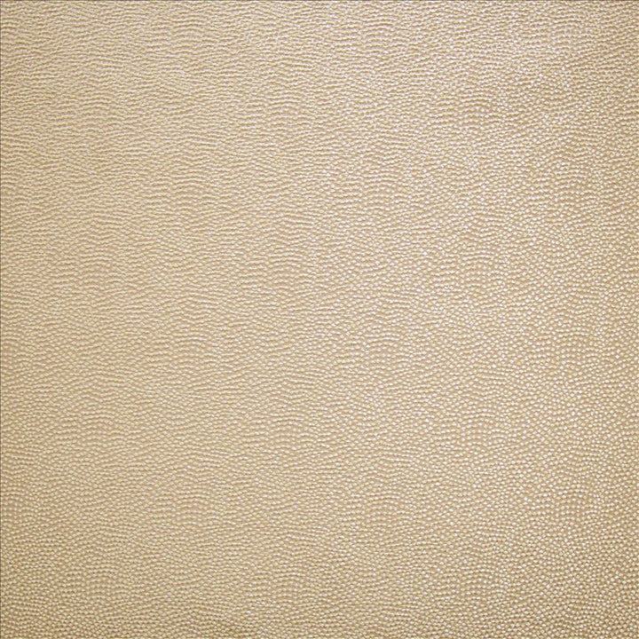 Textured Dot Ballet Pink by Kasmir Fabric 1452 100% Polyester
 CHINA 15,000 Wyzenbeek Double Rubs </p><p>Repeat: Horizontal: N/A and Vertical: N/A 54 - Fabric Carolina -