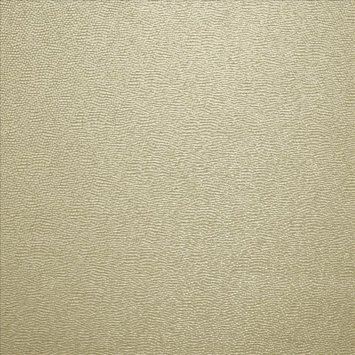 Textured Dot Dove Grey  by Kasmir Fabric See sample 100% Polyester
 CHINA 15,000 Wyzenbeek Double Rubs </p><p>Repeat: Horizontal: N/A and Vertical: N/A 54  - Fabric Carolina -