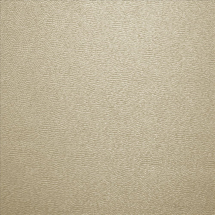 Textured Dot Dove Grey by Kasmir Fabric 5141 100% Polyester
 CHINA </p><p>Repeat: Horizontal: N/A and Vertical: N/A 54 - Fabric Carolina -