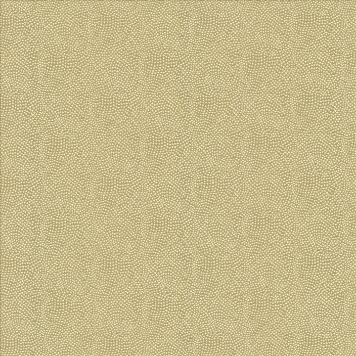 Textured Dot Oatmeal by Kasmir Fabric 5144 100% Polyester
 CHINA </p><p>Repeat: Horizontal: N/A and Vertical: N/A 54 - Fabric Carolina -