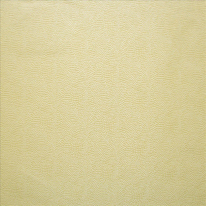 Textured Dot Palomino by Kasmir Fabric 5147 100% Polyester
 CHINA </p><p>Repeat: Horizontal: N/A and Vertical: N/A 54 - Fabric Carolina -