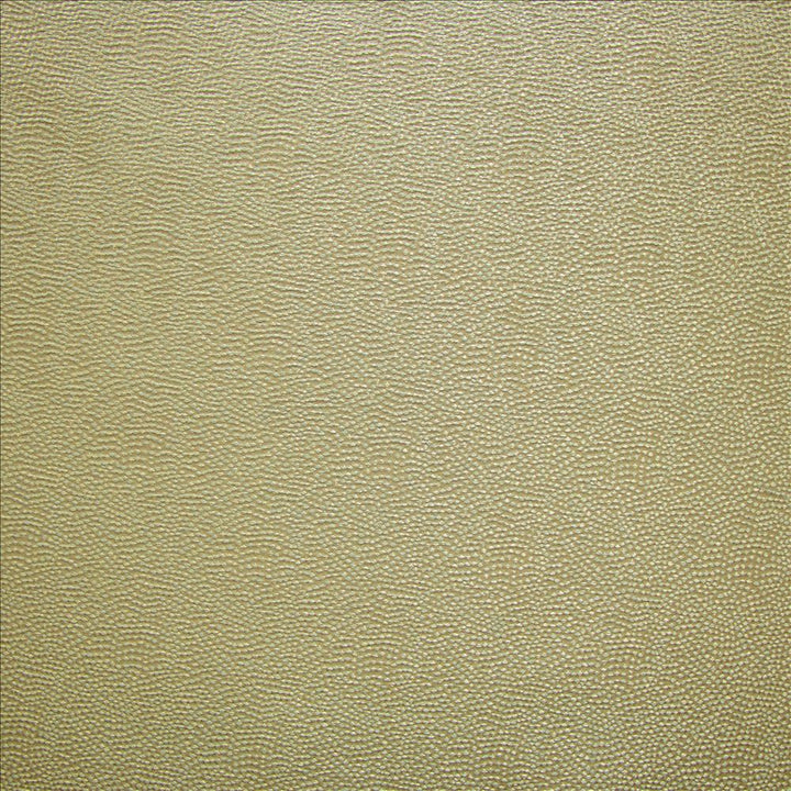 Textured Dot Seafoam by Kasmir Fabric 1455 100% Polyester
 CHINA </p><p>Repeat: Horizontal: N/A and Vertical: N/A 54 - Fabric Carolina -