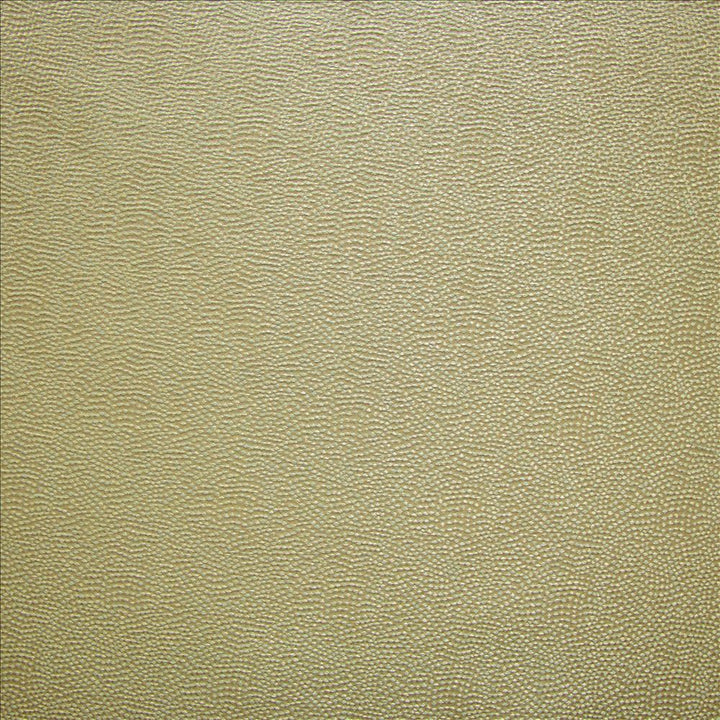 Textured Dot Seafoam by Kasmir Fabric 1455 100% Polyester
 CHINA 15,000 Wyzenbeek Double Rubs </p><p>Repeat: Horizontal: N/A and Vertical: N/A 54 - Fabric Carolina -