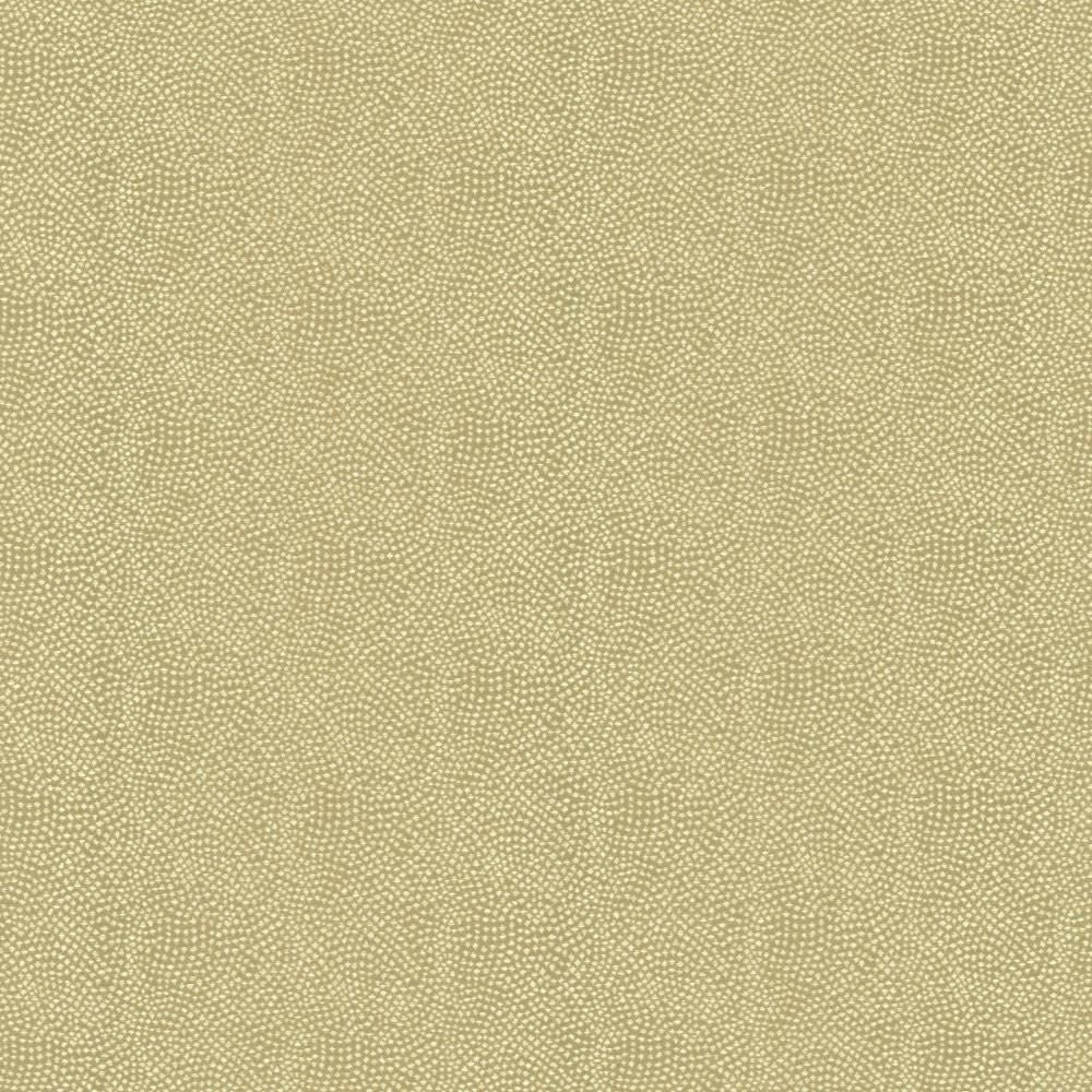 Textured Dot Oatmeal by Kasmir Fabric 5144 100% Polyester
 CHINA </p><p>Repeat: Horizontal: N/A and Vertical: N/A 54 - Fabric Carolina -