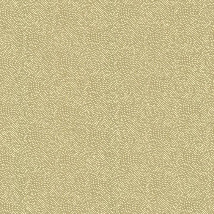 Textured Dot Oatmeal by Kasmir Fabric 5144 100% Polyester
 CHINA </p><p>Repeat: Horizontal: N/A and Vertical: N/A 54 - Fabric Carolina -