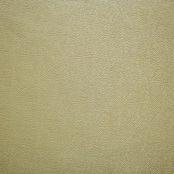 Textured Dot Seafoam by Kasmir Fabric 1455 100% Polyester
 CHINA </p><p>Repeat: Horizontal: N/A and Vertical: N/A 54 - Fabric Carolina -