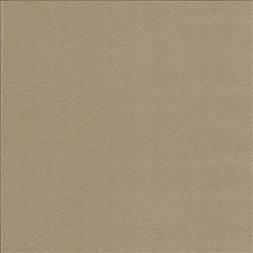 Thad Camel by Kasmir Fabric 5093 100% Polyester CHINA 72,000 Wyzenbeek Double Rubs H: N/A, V: N/A 55 - Fabric Carolina - Kasmir