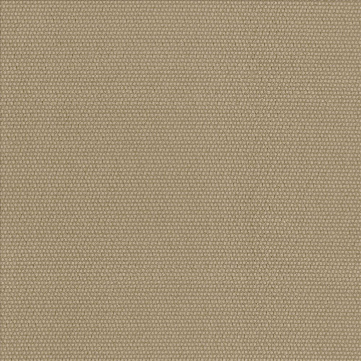 Thad Camel by Kasmir Fabric 5093 100% Polyester CHINA 72,000 Wyzenbeek Double Rubs Horizontal: 0 Inches and Vertical: 0 Inches 55 - Fabric Carolina -