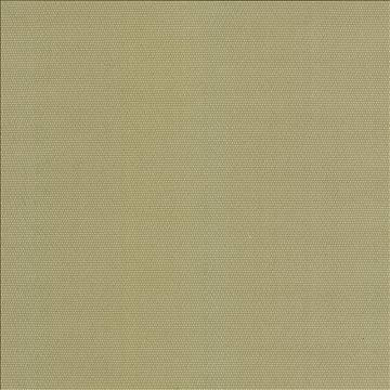 Thad Citron by Kasmir Fabric 5099 100% Polyester CHINA 72,000 Wyzenbeek Double Rubs H: N/A, V: N/A 55 - Fabric Carolina - Kasmir