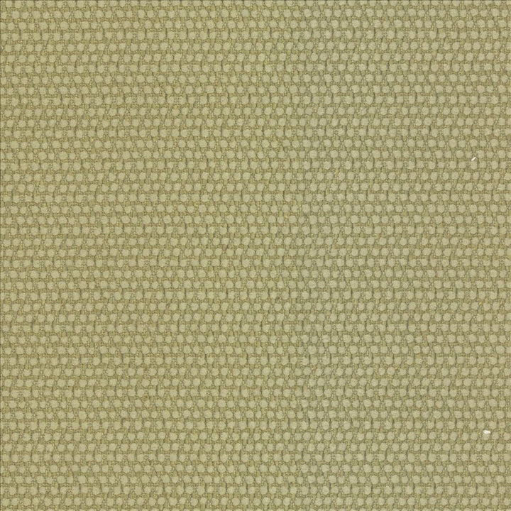 Thad Citron by Kasmir Fabric 5099 100% Polyester CHINA 72,000 Wyzenbeek Double Rubs Horizontal: 0 Inches and Vertical: 0 Inches 55 - Fabric Carolina -