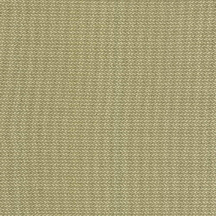 Thad Citron by Kasmir Fabric 5099 CHINA 72,000 Wyzenbeek Double Rubs H: N/A, V:N/A 55 - Fabric Carolina - Kasmir