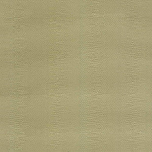 Thad Citron by Kasmir Fabric