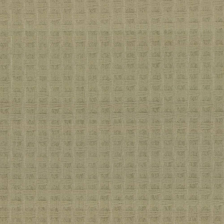 Thatch Sage by Kasmir Fabric 5090 TURKEY 108,000 Wyzenbeek Double Rubs H: 1 6/8 inches, V:2 inches 55 - 56 - Fabric Carolina - Kasmir