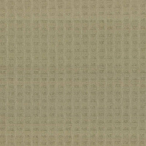 Thatch Sage by Kasmir Fabric
