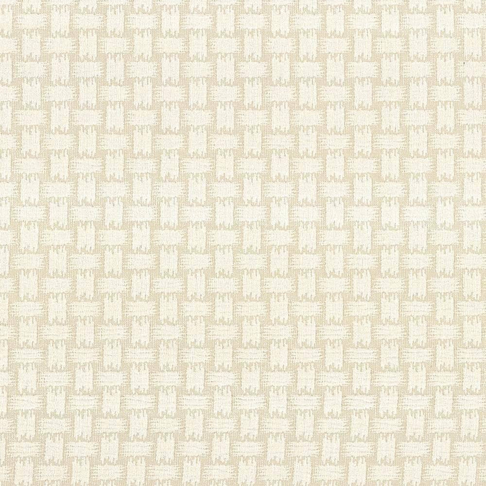 Thatch Salt by Kasmir Fabric 5083 TURKEY 108,000 Wyzenbeek Double Rubs H: 1 6/8 inches, V:2 inches 55 - 56 - Fabric Carolina - Kasmir