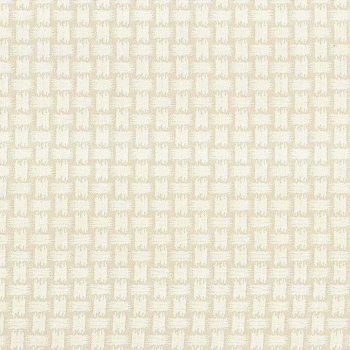 Thatch Salt by Kasmir Fabric 5083 TURKEY 108,000 Wyzenbeek Double Rubs H: 1 6/8 inches, V:2 inches 55 - 56 - Fabric Carolina - Kasmir