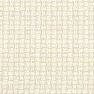 Thatch Salt by Kasmir Fabric