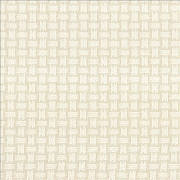 Thatch Salt by Kasmir Fabric 5083 37% Acrylic 34% Polyester 29% Cotton TURKEY 108,000 Wyzenbeek Double Rubs H: 1 6/8 inches, V: 2 inches 55 - 56 - Fabric Carolina - Kasmir