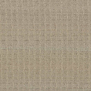 Thatch Taupe by Kasmir Fabric