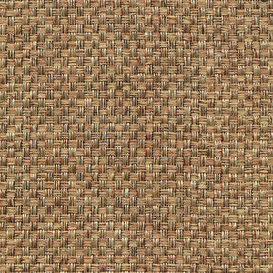 Thatcher Texture Biscotti by Kasmir Fabric