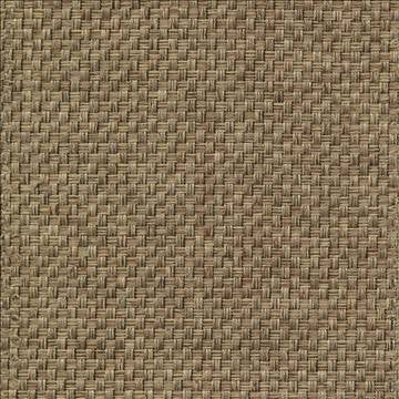 Thatcher Texture Taupe by Kasmir Fabric 1386 100% Polyester CHINA Not Tested H: N/A, V: N/A 57 - 58 - Fabric Carolina - Kasmir