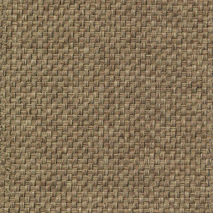 Thatcher Texture Taupe by Kasmir Fabric
