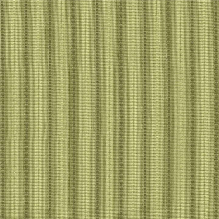 The Strip Verde by Kasmir Fabric 5142 60% Cotton
40% Polyester
 TAIWAN 35,000 Wyzenbeek Double Rubs </p><p>Repeat: Horizontal: 1 7/8 inches and Vertical: 2/8 inches 56 - Fabric Carolina -