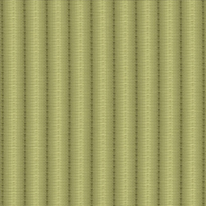 The Strip Verde by Kasmir Fabric 5142 60% Cotton
40% Polyester
 TAIWAN </p><p>Repeat: Horizontal: 1 7/8 inches and Vertical: 2/8 inches 56 - Fabric Carolina -