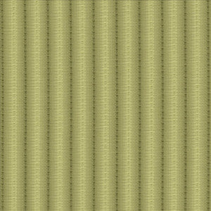 The Strip Verde by Kasmir Fabric