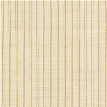 Theodore Linen by Kasmir Fabric 5108 100% Polyester TURKEY Not Tested H: 1 inches, V: N/A 118 - 122 - Fabric Carolina - Kasmir