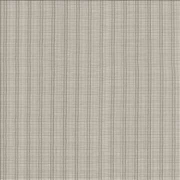 Theodore Smoke by Kasmir Fabric 5108 100% Polyester TURKEY Not Tested H: 1 inches, V: N/A 118 - 122 - Fabric Carolina - Kasmir