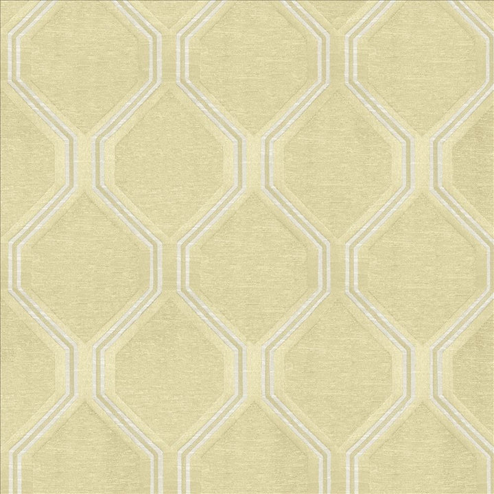 Theorem Bisque by Kasmir Fabric 5119 59% Polyester
41% Cotton
 INDIA </p><p>Repeat: Horizontal: 6 inches and Vertical: 7 4/8 inches 54 - Fabric Carolina -