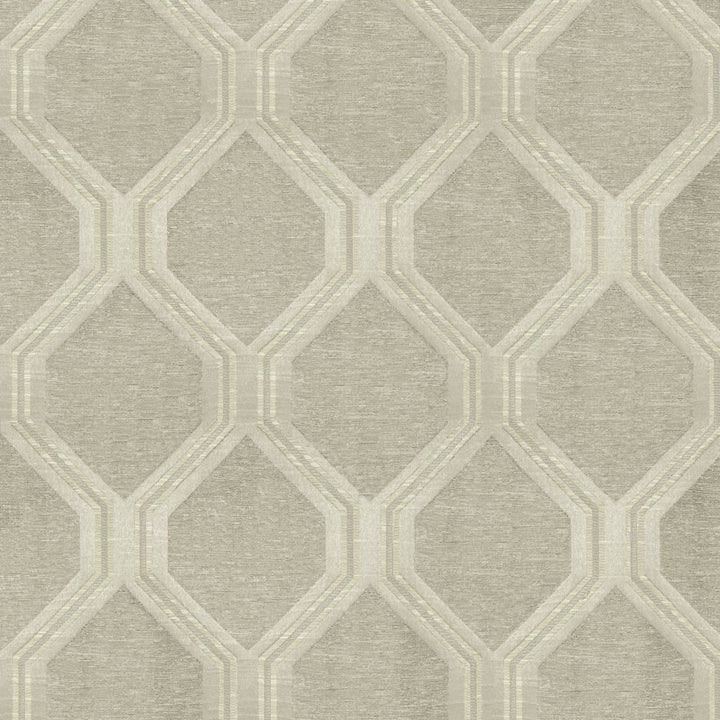 Theorem Silver by Kasmir Fabric 5119 59% Polyester
41% Cotton
 INDIA </p><p>Repeat: Horizontal: 6 inches and Vertical: 7 4/8 inches 53 - Fabric Carolina -