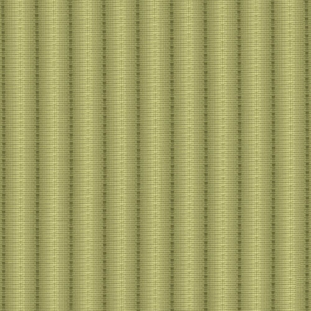 The Strip Verde by Kasmir Fabric 5142 60% Cotton
40% Polyester
 TAIWAN </p><p>Repeat: Horizontal: 1 7/8 inches and Vertical: 2/8 inches 56 - Fabric Carolina -