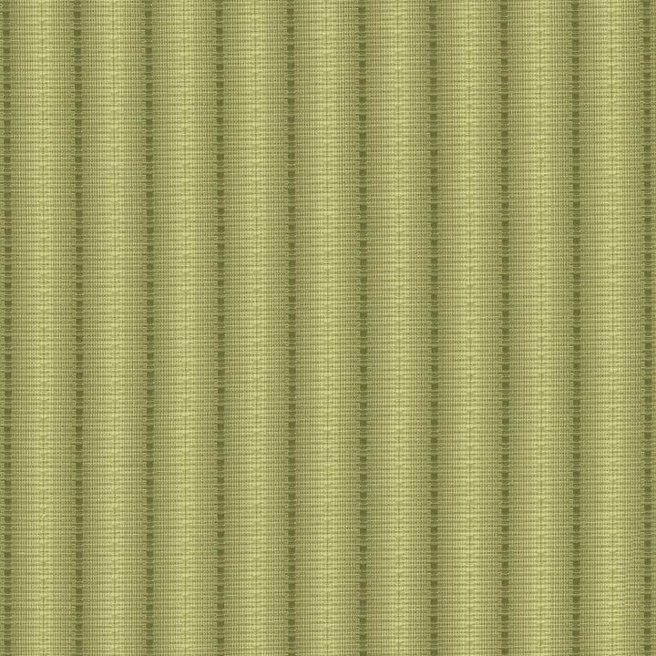 The Strip Verde by Kasmir Fabric 5142 60% Cotton
40% Polyester
 TAIWAN </p><p>Repeat: Horizontal: 1 7/8 inches and Vertical: 2/8 inches 56 - Fabric Carolina -