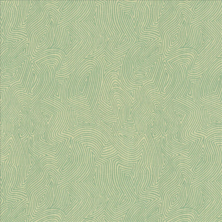 Thumbprint Aqua by Kasmir Fabric 5142 51% Polyester
42% Cotton
7% Acrylic
 INDIA </p><p>Repeat: Horizontal: 13 2/8 inches and Vertical: 15 4/8 inches 54 - Fabric Carolina -