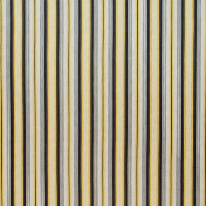 Tilden Stripe Midas by Kasmir Fabric 1399 100% Cotton
 PERU 12,000 Wyzenbeek Double Rubs </p><p>Repeat: Horizontal: 4 4/8 inches and Vertical: N/A 54 - Fabric Carolina -