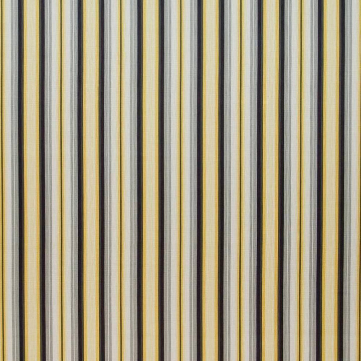 Tilden Stripe Midas by Kasmir Fabric 1399 PERU 12,000 Wyzenbeek Double Rubs H: 4 4/8 inches, V:N/A 54 - 55 - Fabric Carolina - Kasmir