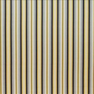 Tilden Stripe Midas by Kasmir Fabric 1399 100% Cotton PERU 12,000 Wyzenbeek Double Rubs H: 4 4/8 inches, V: N/A 54 - 55 - Fabric Carolina - Kasmir