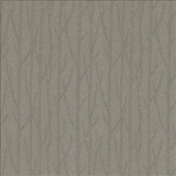 Timberline Coffee by Kasmir Fabric 1429 100% Polyester Embroidery Contents 100% Polyester INDIA Not Tested H: 8 6/8 inches, V: 6 3/8 inches 56 - Fabric Carolina - Kasmir