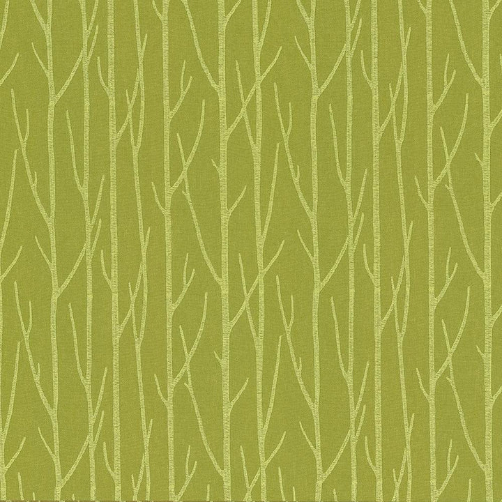 Timberline Pistachio by Kasmir Fabric 1429 100% Polyester
Embroidery
100% Polyester
 INDIA </p><p>Repeat: Horizontal: 8 6/8 inches and Vertical: 6 3/8 inches 52 - Fabric Carolina -
