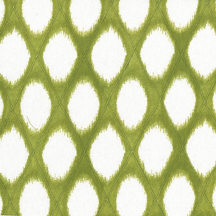 Timblethorne Herb by Kasmir Fabric 1442 INDIA 15,000 Wyzenbeek Double Rubs H: 2 5/8 inches, V:4 6/8 inches 58 - 59 - Fabric Carolina - Kasmir
