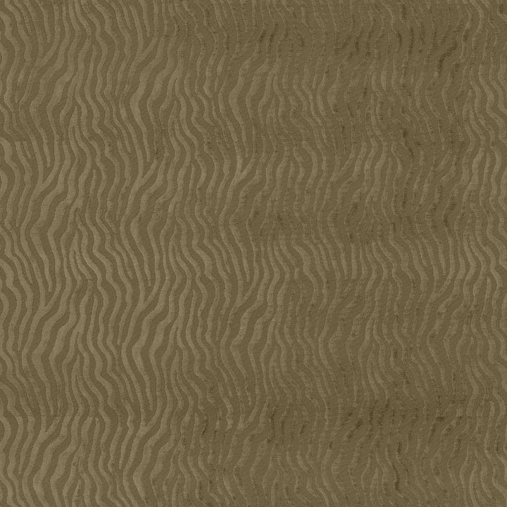 Timbuktu Khaki by Kasmir Fabric 1442 CHINA 50,000 Wyzenbeek Double Rubs H: 5 inches, V:6 4/8 inches 55 - Fabric Carolina - Kasmir