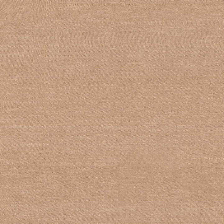 Timeless Barely There by Kasmir Fabric 5023 INDIA 15,000 Wyzenbeek Double Rubs H: N/A, V:N/A 54 - Fabric Carolina - Kasmir
