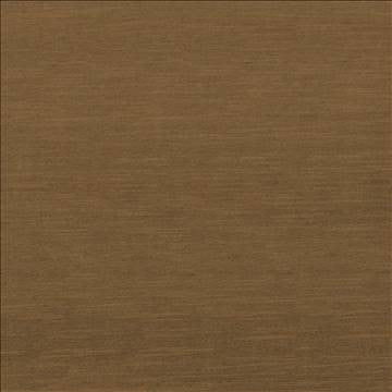 Timeless Biscotti by Kasmir Fabric 5023 100% Polyester INDIA 15,000 Wyzenbeek Double Rubs H: N/A, V: N/A 54 - Fabric Carolina - Kasmir