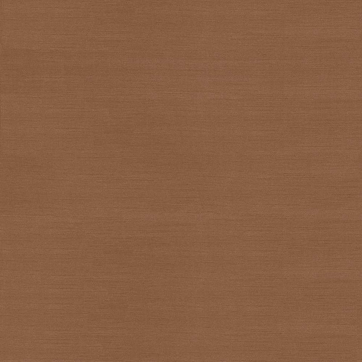 Timeless Biscuit by Kasmir Fabric 5023 INDIA 15,000 Wyzenbeek Double Rubs H: N/A, V:N/A 54 - Fabric Carolina - Kasmir