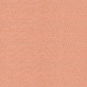 Timeless Bisque by Kasmir Fabric