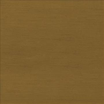Timeless Bronze by Kasmir Fabric 5023 100% Polyester INDIA 15,000 Wyzenbeek Double Rubs H: N/A, V: N/A 54 - Fabric Carolina - Kasmir