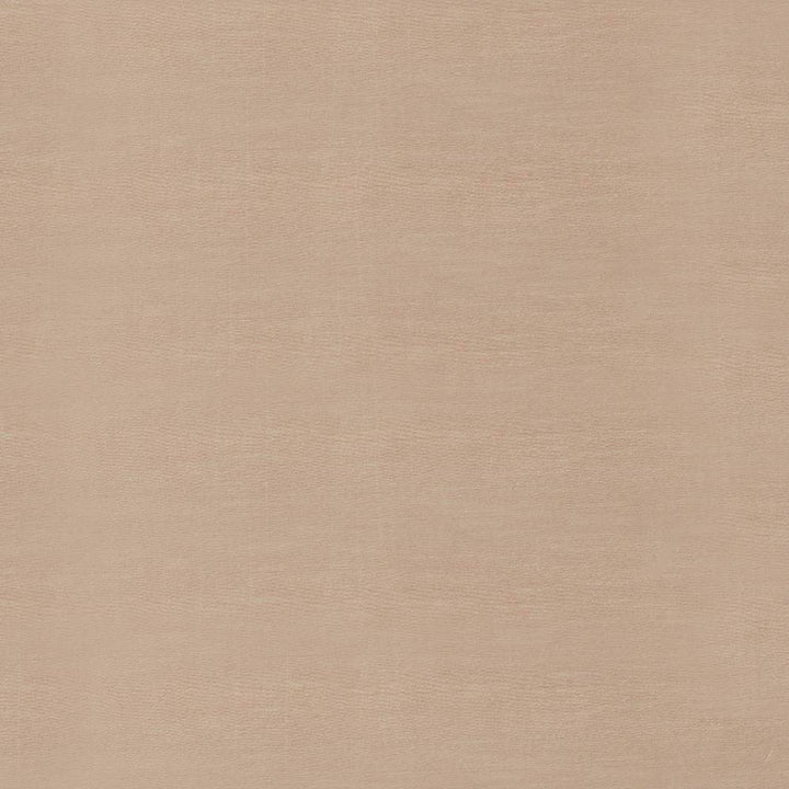 Timeless Burlap by Kasmir Fabric 5023 INDIA 15,000 Wyzenbeek Double Rubs H: N/A, V:N/A 54 - Fabric Carolina - Kasmir